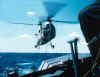 FoxHelo.jpg (31740 bytes)