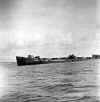 MC-fox-26.jpg (8074 bytes)