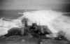 0704FoxWake_a.jpg (15202 bytes)