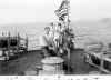 FantailGuys.jpg (17783 bytes)