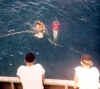 Navy-Pictures-004.jpg (39328 bytes)