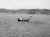 PoonMtrWhaleboat.jpg (31015 bytes)