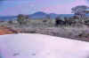 KenyaSafari10.jpg (27715 bytes)