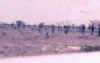 KenyaSafari15.jpg (4598 bytes)
