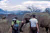 KenyaSafari27.jpg (62589 bytes)