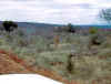 KenyaSafari29.jpg (32475 bytes)