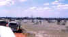 KenyaSafari35.jpg (41665 bytes)