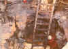 hgbee3.JPG (53577 bytes)